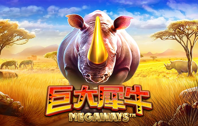 BOB体育综合